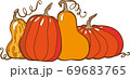 pumpkin orange and yellow set vector insolate 69683765