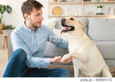Young man playing with dog at home Young man playing with dog at home 69684772