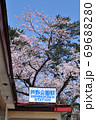 津軽鉄道　芦野公園駅とソメイヨシノ 69688280