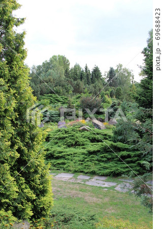 summer landscape with bushes and stones 69688423