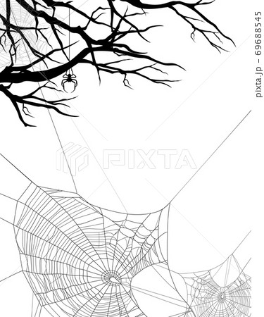 vector halloween background with spider web and bare tree branches vector halloween background with spider web and bare tree branches 69688545