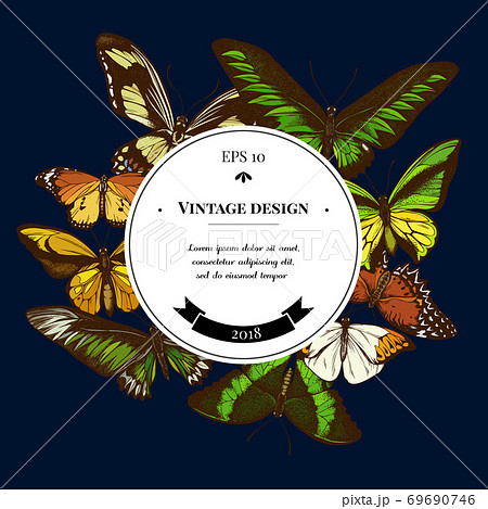 Badge over design with red lacewing, wallace s golden birdwing, great orange-tip, emerald Badge over design with red lacewing, wallace s golden birdwing, great orange-tip, emerald 69690746