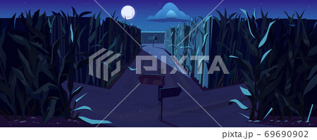 Road on cornfield with fork at night 69690902