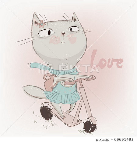 cute lovely cat on schooter 69691493
