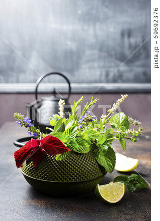 teapot and herb teapot and herb 69692376