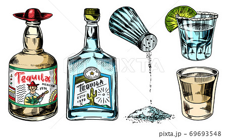 Tequila bottles and salt shaker. Glass Shots with Alcoholic Drink and Lime. Engraved hand drawn 69693548