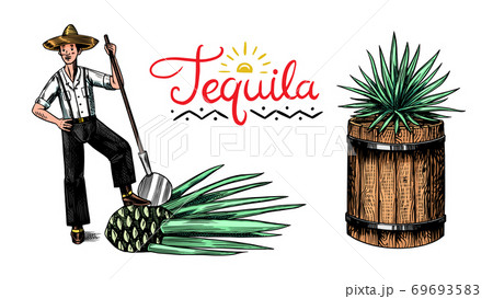 Harvesting agave. Farmer with fruit and a wooden barrel for making tequila. Engraved hand drawn Harvesting agave. Farmer with fruit and a wooden barrel for making tequila. Engraved hand drawn 69693583