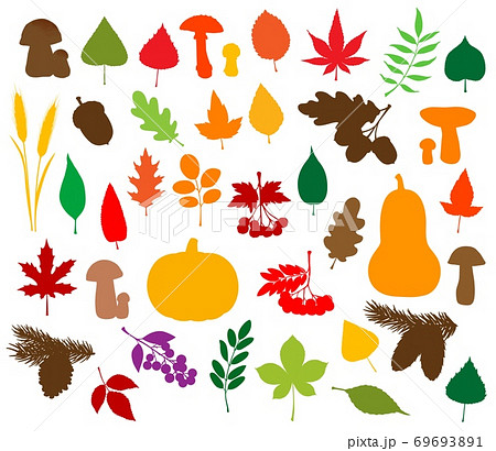 Autumn Nature Silhouettes, Leaves, Fruits, Veggies - 스톡일러스트 [69693891] -  Pixta