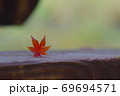 紅葉立つ 69694571