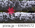 雪ともみじ 69694572