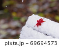 雪のベンチともみじ 69694573