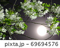 さくらと月 69694576