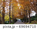 紅葉の道 69694710