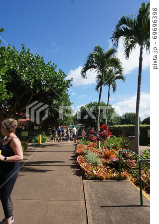 ハワイ　オワフ島　一周 69696398