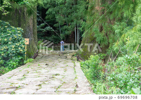 和歌山県 熊野古道 大門坂から夫婦杉を越えて歩いて行く人 和歌山県 熊野古道 大門坂から夫婦杉を越えて歩いて行く人 69696708