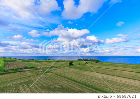 初秋の棚田NO.2 69697621