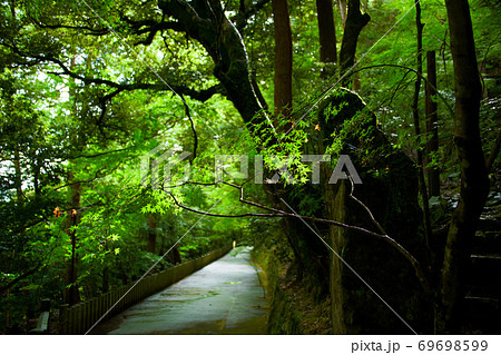 緑の美しい滋賀県永源寺 2020 緑の美しい滋賀県永源寺 2020 69698599