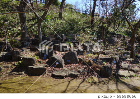 横浜市こども植物園の写真素材