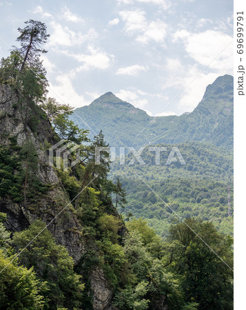 The slopes and peaks of the highest mountains, overgrown with green forest 69699791