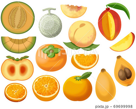 オレンジ色の果物のイラスト素材