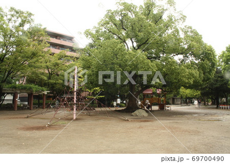 江戸川区中葛西 宇喜田中央公園 遊具 広場の写真素材 江戸川区中葛西 宇喜田中央公園 遊具 広場の写真素材