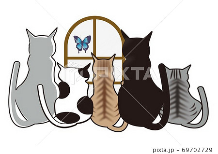 猫 猫 69702729