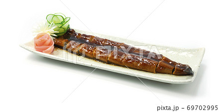 Unagi Grilled Eel with Sauce decorate pickled ginger carved vegetable Japanese Food Unagi Grilled Eel with Sauce decorate pickled ginger carved vegetable Japanese Food 69702995
