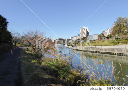 新左近川親水公園 2019年12月撮影 新左近川親水公園 2019年12月撮影 69704020