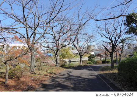 新左近川親水公園 2019年12月撮影 新左近川親水公園 2019年12月撮影 69704024