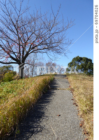 新左近川親水公園 2019年12月撮影 新左近川親水公園 2019年12月撮影 69704026