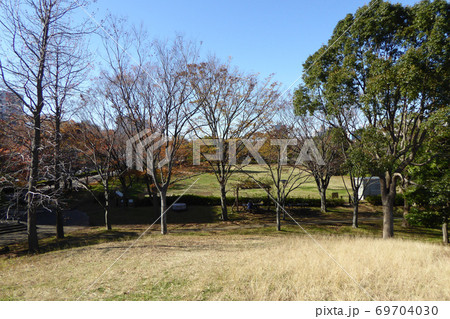 新左近川親水公園　2019年12月撮影 69704030