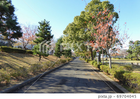 新左近川親水公園 2019年12月撮影 新左近川親水公園 2019年12月撮影 69704045