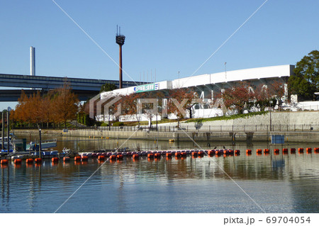 新左近川親水公園 2019年12月撮影 新左近川親水公園 2019年12月撮影 69704054