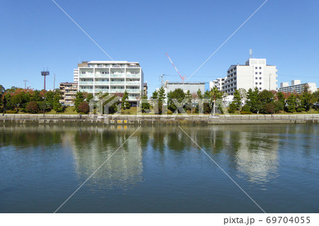 新左近川親水公園 2019年12月撮影 新左近川親水公園 2019年12月撮影 69704055