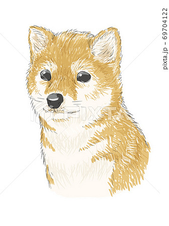 芝犬 子犬 手書き ベクター 01のイラスト素材