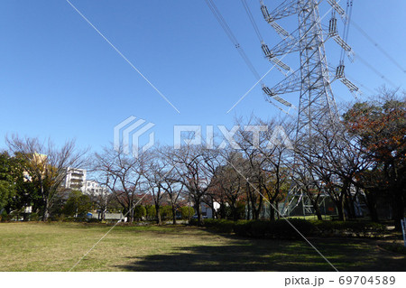 江戸川区総合レクリエーション公園　フラワーガーデン 69704589