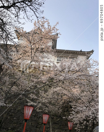 《桜越しの津山城 備中櫓(岡山県 津山市)》 《桜越しの津山城 備中櫓(岡山県 津山市)》 69704805