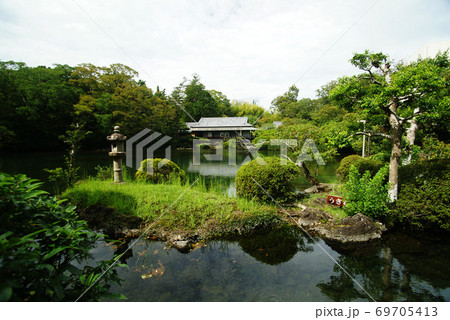 三島市立楽寿園 満水の小浜池 三島市立楽寿園 満水の小浜池 69705413