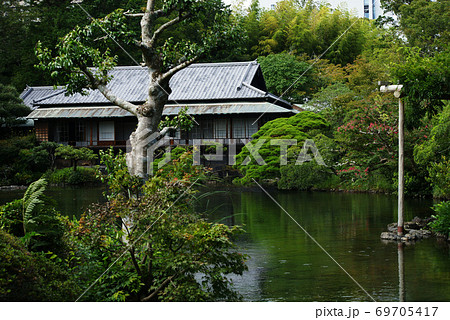 三島市立楽寿園 満水の小浜池 三島市立楽寿園 満水の小浜池 69705417
