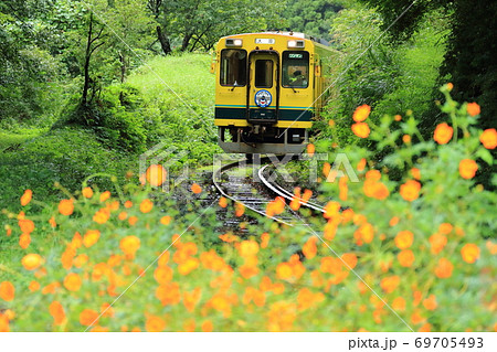 いすみ鉄道「森の緑の中を抜けて」の写真素材 [69705493] - PIXTA