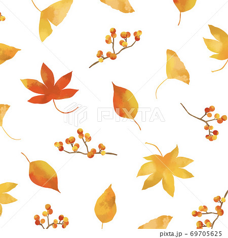優しいタッチの秋の紅葉イラストのイラスト素材