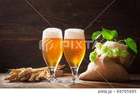 glasses of beer, wheat ears, and hops glasses of beer, wheat ears, and hops 69705695
