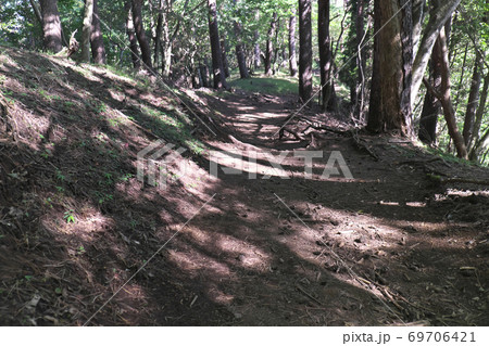 登山道 大倉尾根 登山道 大倉尾根 69706421
