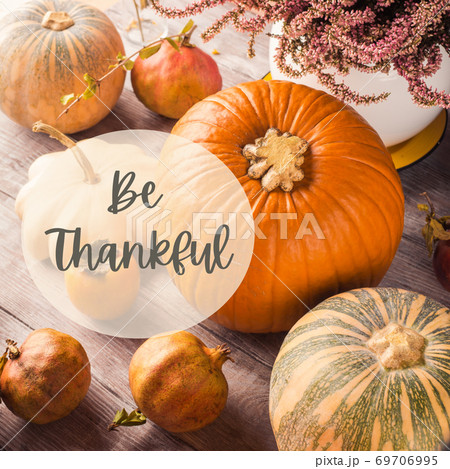 Autumn thanksgiving still life with pumpkins 69706995