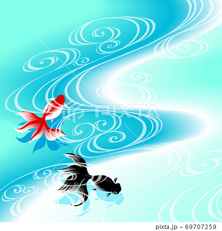 金魚 TQ 金魚 TQ 69707259