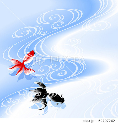 金魚　LBL 69707262
