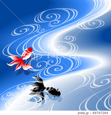 金魚　NV 69707264