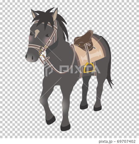 乗馬イメージ 馬具をつけた馬 黒のイラスト素材