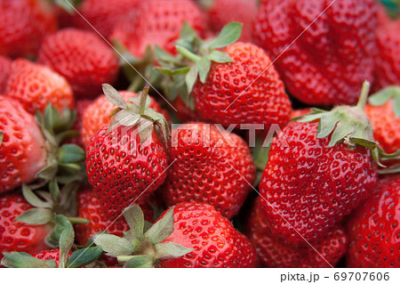 フルーツ 果物 果実 69707606