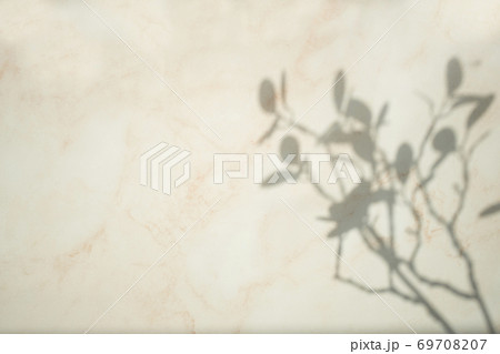 大理石 壁 影 69708207